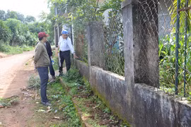 Tp Pleiku cần giải quyết thỏa đáng quyền lợi của người dân