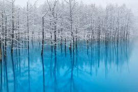 Hồ nước ở Nhật nổi tiếng nhờ được làm màn hình desktop