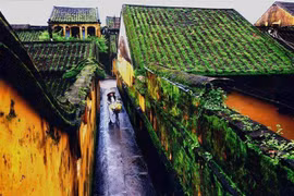 Mái ngói rêu phong