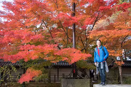 Những lưu ý về đồ dùng cho chuyến đi ngắm lá đỏ Nhật Bản