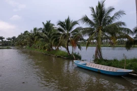 Lạc đến Cồn Sơn