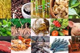 15 sản phẩm nông nghiệp được đề xuất là sản phẩm chủ lực quốc gia