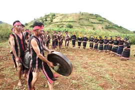 Lễ hội hoa dã quỳ-núi lửa Chư Đăng Ya: Hứa hẹn nhiều mới lạ,hấp dẫn