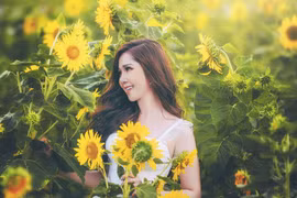 Hot girl Cần Thơ tung ảnh xinh đẹp giữa 'rừng' hoa hướng dương