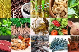 15 sản phẩm nông nghiệp được đề xuất là sản phẩm chủ lực quốc gia