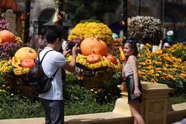 Lạc trong xứ sở thần tiên tại Halloween trên đỉnh Bà Nà