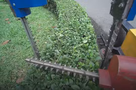 Robot tỉa cây do sinh viên TP HCM chế tạo