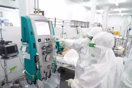 Sáng 29/11: Có 767 ca Covid-19 nặng phải thở máy, ECMO; F0 tăng, nhiều tỉnh miền Tây 'đổi màu' cấp độ dịch