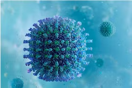 Biến thể Delta đã tới lúc tự hủy diệt?