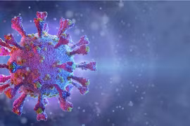 Quá trình phát hiện biến thể Omicron