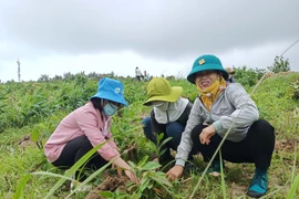 Phát động cuộc thi ảnh và câu chuyện "Phụ nữ trước bão giông"