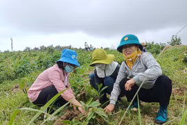 Phát động cuộc thi ảnh và câu chuyện "Phụ nữ trước bão giông"