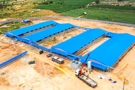 "Quả ngọt" trong thu hút đầu tư