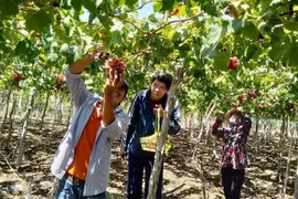 Đưa du lịch nông thôn vào Chương trình xây dựng nông thôn mới