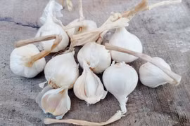 Lợi ích khi ăn tỏi vào mùa đông