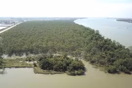 Đai xanh giữ đất, nuôi người