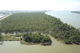 Đai xanh giữ đất, nuôi người
