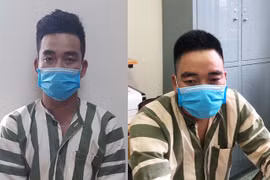 Kbang: Bắt giữ 2 đối tượng khai thác gỗ hương trái phép