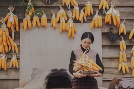 Cô gái 'bỏ phố về rừng': Những ngày rỗng túi và cầu vồng sau mưa