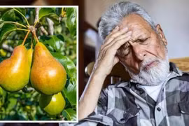 Phát hiện mới: Một quả lê hay táo mỗi ngày giảm 52% nguy cơ đột quỵ