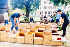 Kbang: Tạm giữ 2.000 chai thuốc bảo vệ thực vật chứa hoạt chất cấm sử dụng