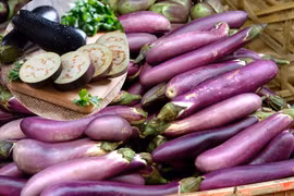 Quả cà và những bài thuốc chữa bệnh hay từ cà ít người biết