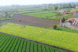 Hương sắc đồng làng phố núi Pleiku