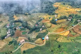 Ngành du lịch Sa Pa chủ động thích ứng an toàn trong đại dịch