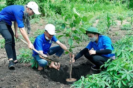 Góp sức trẻ "Vì một Việt Nam xanh"