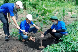 Góp sức trẻ "Vì một Việt Nam xanh"