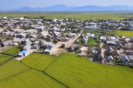 Gia Lai miền nhớ: Những mùa lúa rẫy