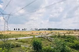 TP. Hồ Chí Minh dự kiến rút ngắn thời gian tính tiền sử dụng đất từ 3 năm xuống 10 ngày