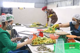 Gia Lai: Ban hành kế hoạch về nâng cao năng suất và chất lượng