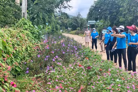 Nhiều hoạt động chào mừng thành công Đại hội đại biểu Phụ nữ tỉnh Gia Lai