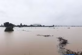 Ayun Pa: Giải cứu 14 người dân mắc kẹt do nước lũ dâng cao