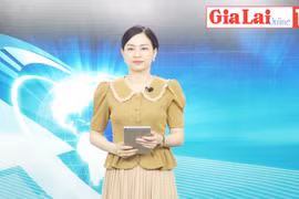 Gia Lai 48h: Ban hành Chỉ thị số 13/CT-UBND về phòng-chống dịch gắn với phát triển kinh tế