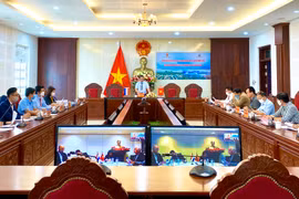 Kết nối doanh nghiệp Hà Lan hợp tác, đầu tư vào Gia Lai