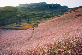 Du lịch Hà Giang mùa nào thì đẹp nhất?