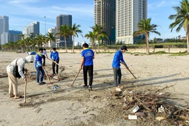 100 thanh niên Đà Nẵng dọn hàng tấn rác thải làm sạch bãi biển