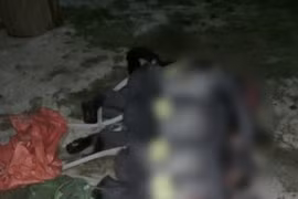 Quảng Ngãi: Khởi tố vụ bắn chết 5 Voọc chà vá chân xám