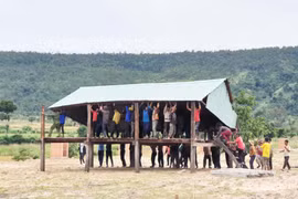 Niềm vui làng mới