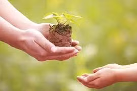 Văn hóa từ lòng nhân ái