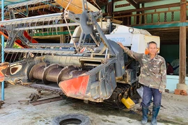 Làm giàu trên đất khó