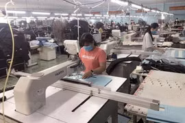 Bình Định: 4 đối tượng người lao động được hỗ trợ trong Tết Nguyên Đán