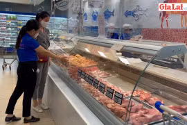 Giá thịt heo trên thị trường giảm mạnh