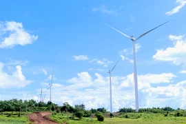 Gia Lai có 11 dự án điện gió vận hành thương mại
