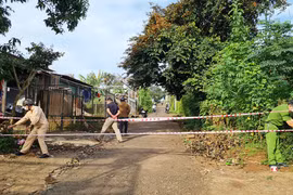 Sáng 4-11, ghi nhận 61 ca mắc Covid-19, Gia Lai vượt mốc 2.000 ca