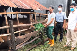 Bí thư chi bộ "miệng nói tay làm"