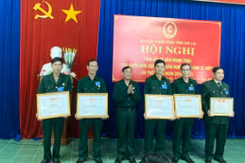 Gia Lai tổng kết phong trào "Cựu chiến binh giúp nhau giảm nghèo, làm kinh tế giỏi"