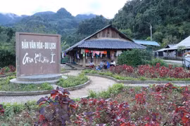 Mở cửa cho du lịch phải linh hoạt, phối hợp nhịp nhàng công-tư